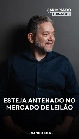 capa-07