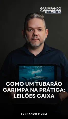 capa-13